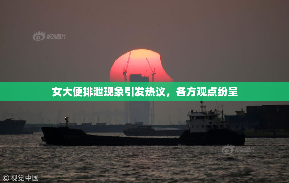 女大便排泄现象引发热议，各方观点纷呈