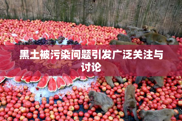 黑土被污染问题引发广泛关注与讨论