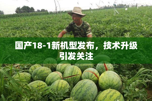 国产18-1新机型发布，技术升级引发关注