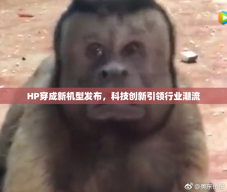 HP穿成新机型发布，科技创新引领行业潮流