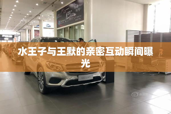 水王子与王默的亲密互动瞬间曝光