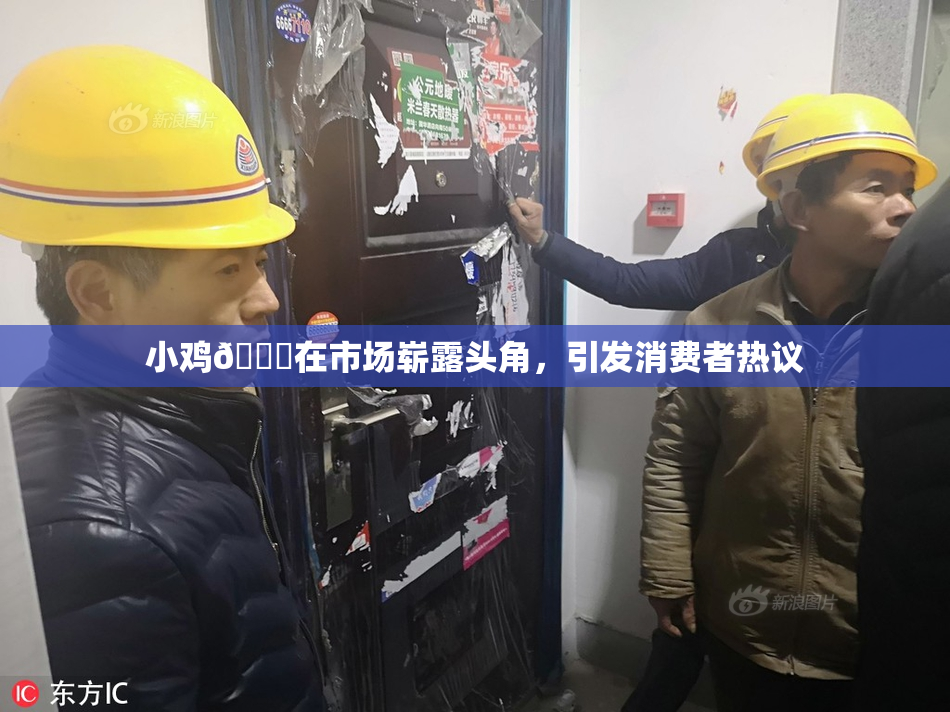 小鸡🐔在市场崭露头角，引发消费者热议