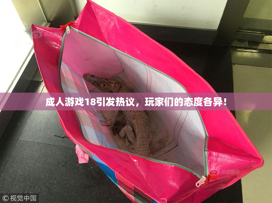 成人游戏18引发热议，玩家们的态度各异！