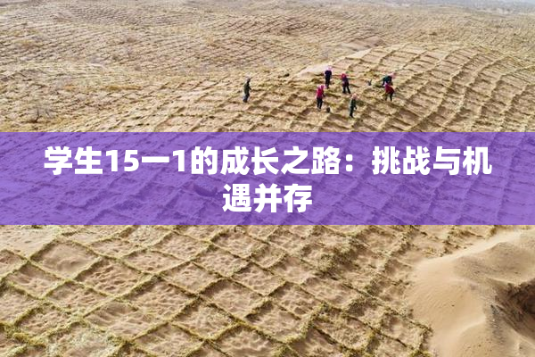学生15一1的成长之路：挑战与机遇并存