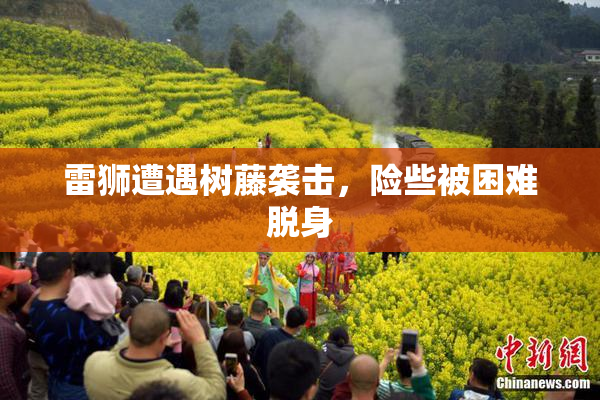 雷狮遭遇树藤袭击，险些被困难脱身