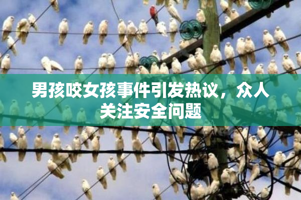 男孩咬女孩事件引发热议，众人关注安全问题