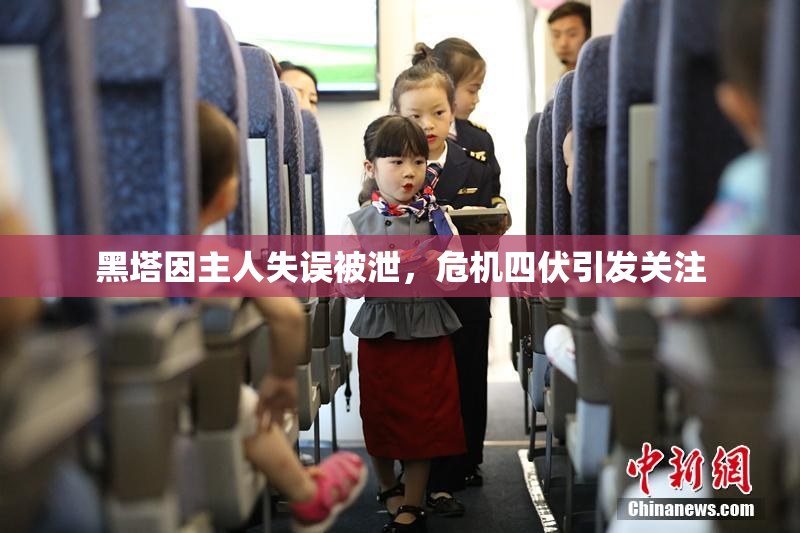 黑塔因主人失误被泄，危机四伏引发关注