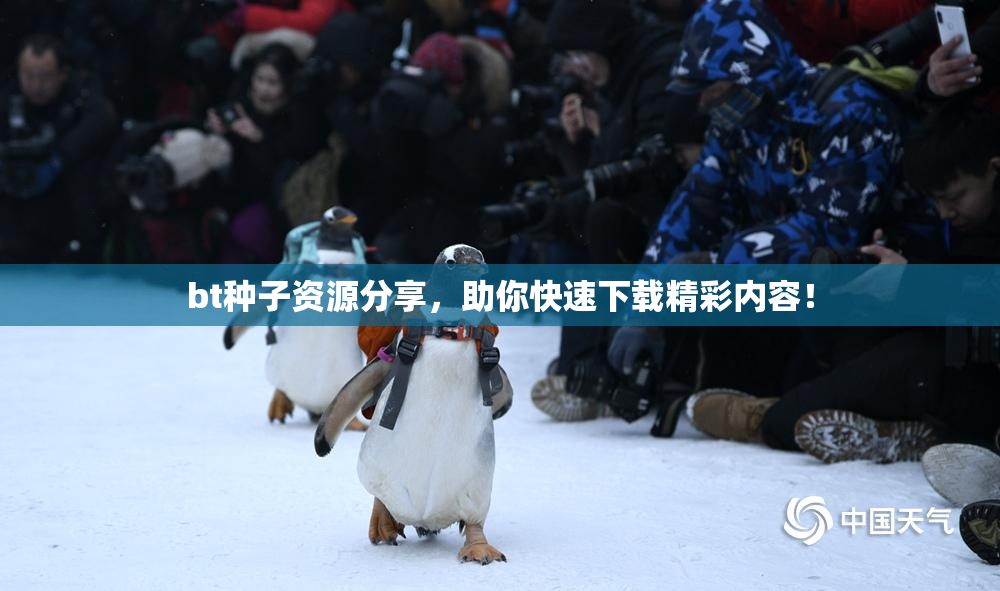 bt种子资源分享，助你快速下载精彩内容！