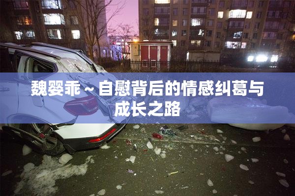 魏婴乖～自慰背后的情感纠葛与成长之路