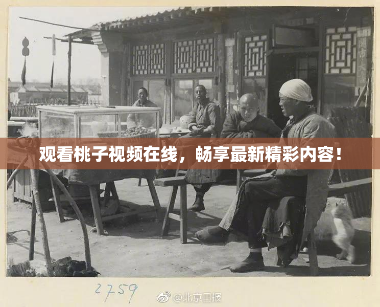 观看桃子视频在线，畅享最新精彩内容！