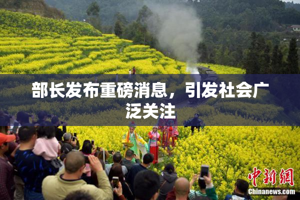 部长发布重磅消息，引发社会广泛关注