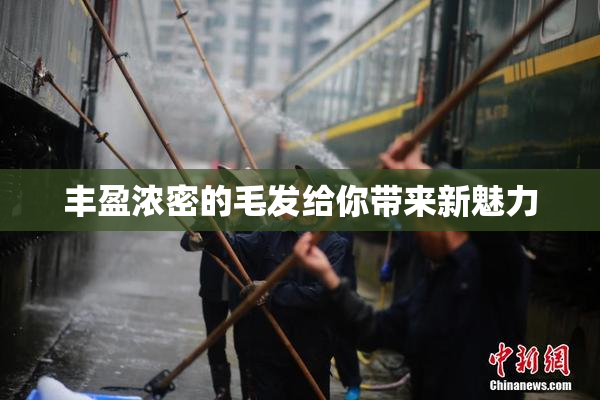 丰盈浓密的毛发给你带来新魅力