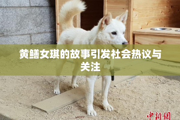 黄鳝女琪的故事引发社会热议与关注
