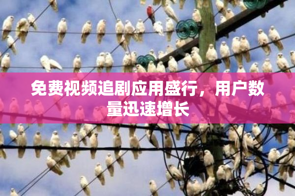免费视频追剧应用盛行，用户数量迅速增长