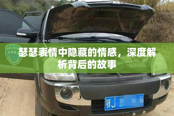 瑟瑟表情中隐藏的情感，深度解析背后的故事