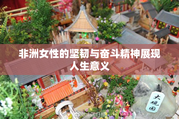 非洲女性的坚韧与奋斗精神展现人生意义
