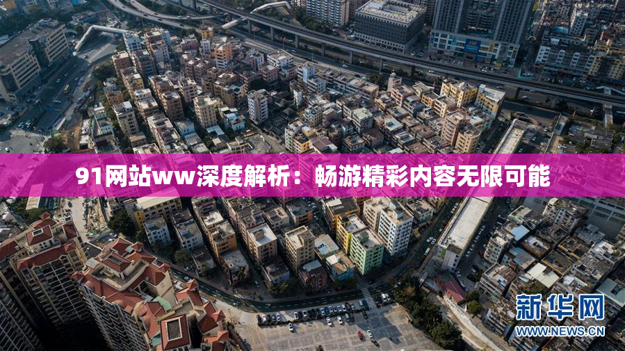 91网站ww深度解析：畅游精彩内容无限可能