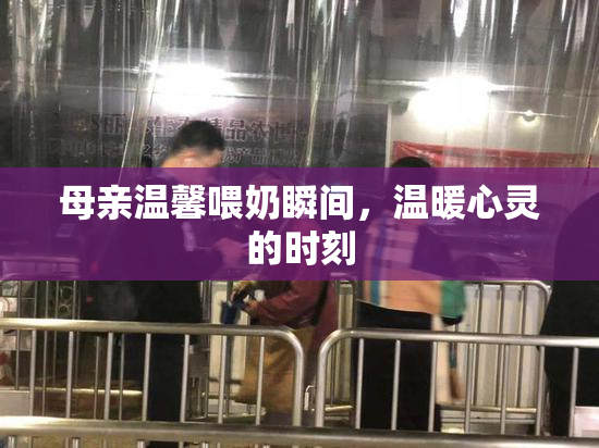 母亲温馨喂奶瞬间，温暖心灵的时刻