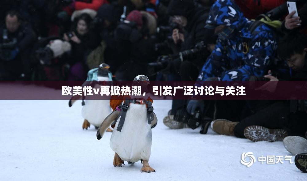 欧美性v再掀热潮，引发广泛讨论与关注