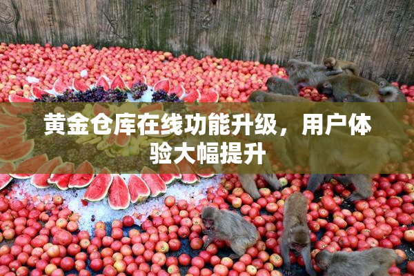 黄金仓库在线功能升级，用户体验大幅提升