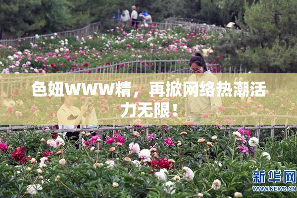 色妞WWW精，再掀网络热潮活力无限！