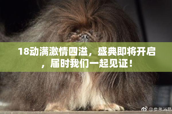 18动满激情四溢，盛典即将开启，届时我们一起见证！