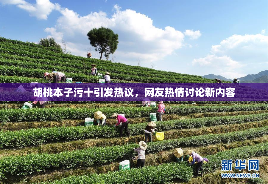 胡桃本子污十引发热议，网友热情讨论新内容