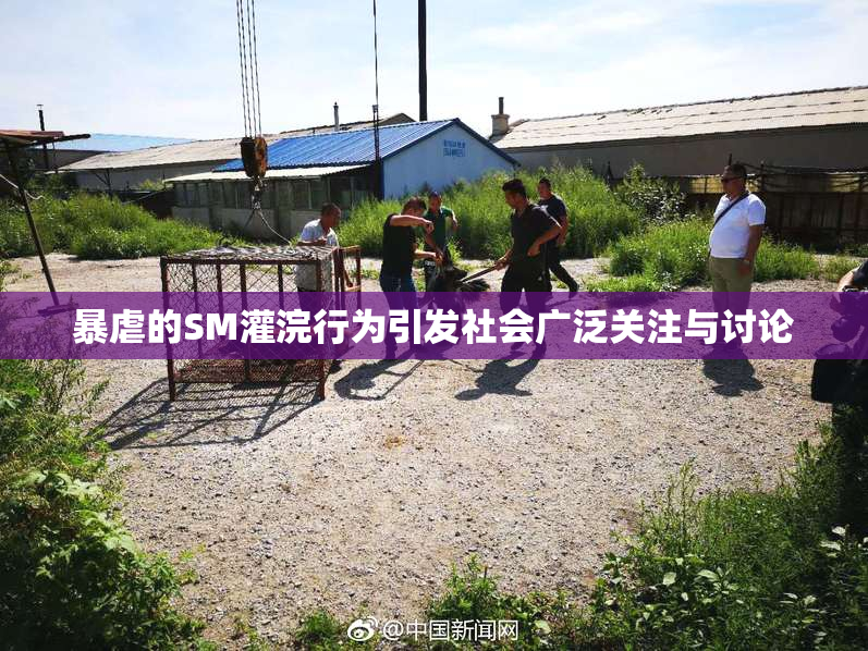 暴虐的SM灌浣行为引发社会广泛关注与讨论