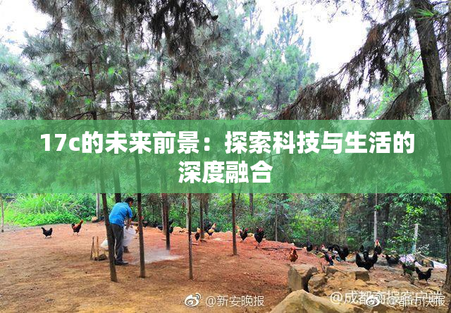 17c的未来前景：探索科技与生活的深度融合