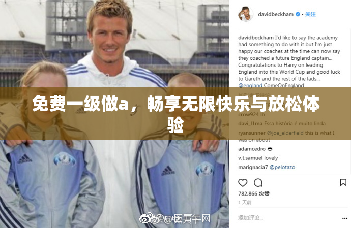 免费一级做a，畅享无限快乐与放松体验