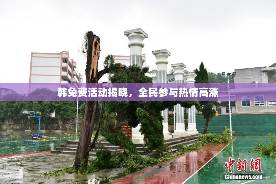 韩免费活动揭晓，全民参与热情高涨