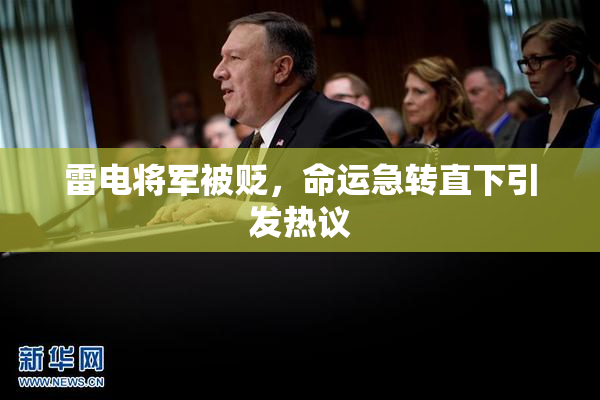 雷电将军被贬，命运急转直下引发热议