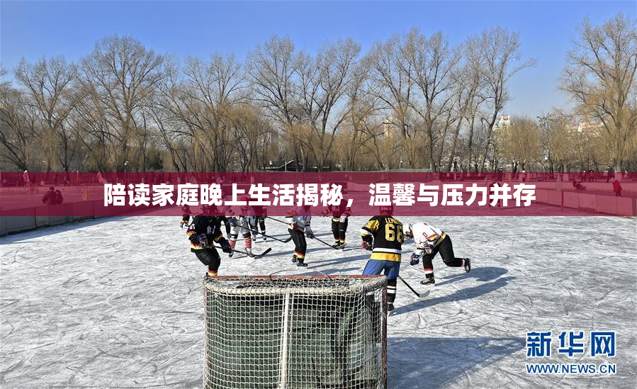 陪读家庭晚上生活揭秘，温馨与压力并存