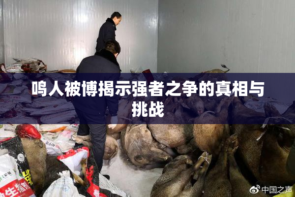 鸣人被博揭示强者之争的真相与挑战