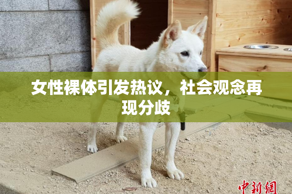 女性裸体引发热议，社会观念再现分歧