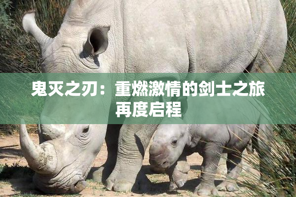 鬼灭之刃：重燃激情的剑士之旅再度启程