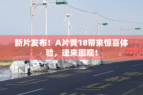 新片发布！A片黄18带来惊喜体验，速来围观！