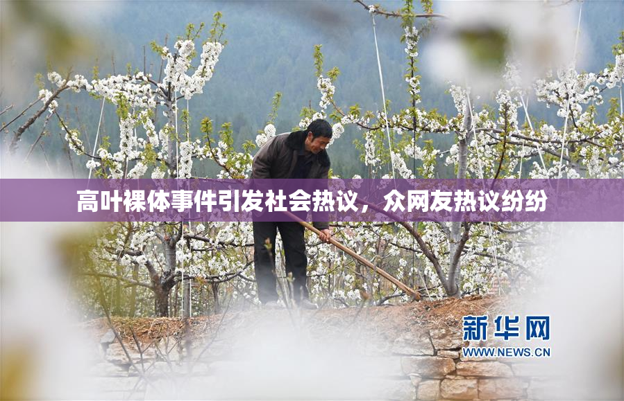 高叶裸体事件引发社会热议，众网友热议纷纷