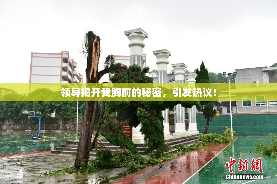 领导揭开我胸前的秘密，引发热议！