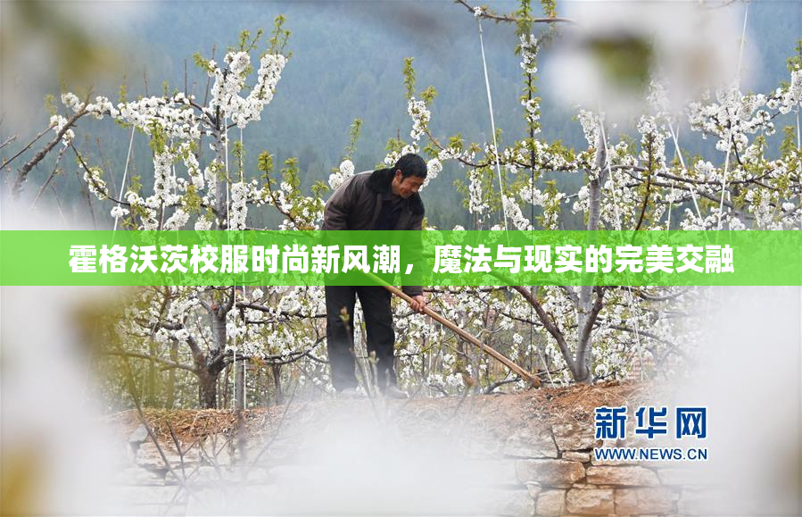 霍格沃茨校服时尚新风潮，魔法与现实的完美交融