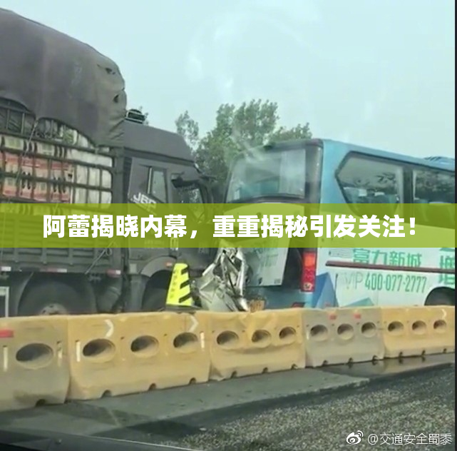 阿蕾揭晓内幕，重重揭秘引发关注！