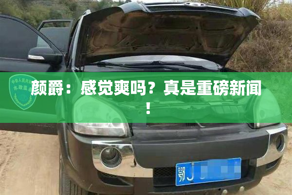 颜爵：感觉爽吗？真是重磅新闻！