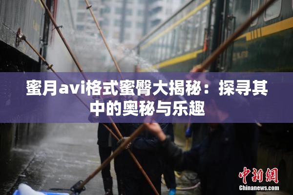 蜜月avi格式蜜臀大揭秘：探寻其中的奥秘与乐趣