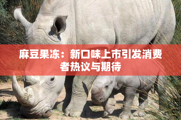 麻豆果冻：新口味上市引发消费者热议与期待