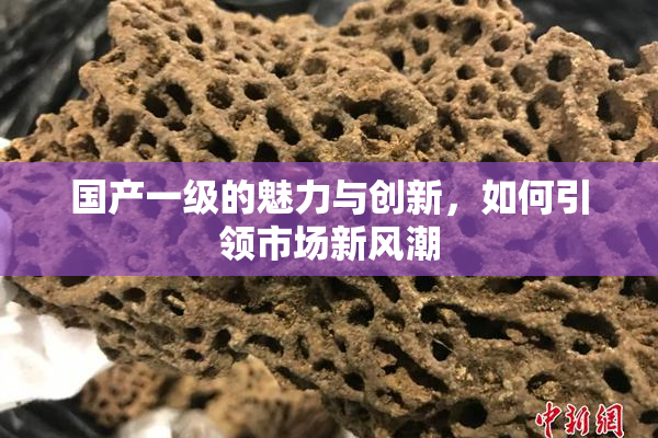 国产一级的魅力与创新，如何引领市场新风潮