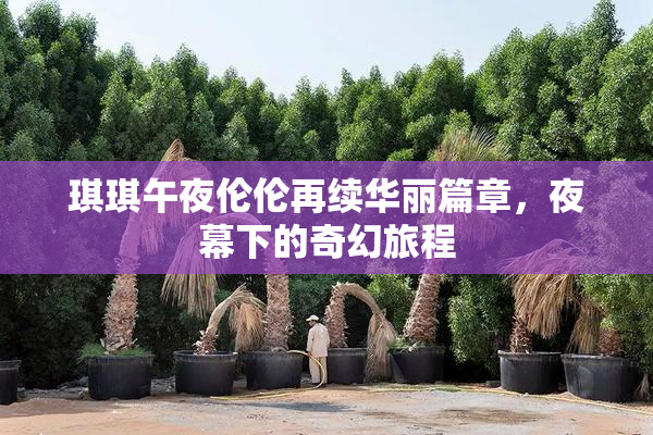 琪琪午夜伦伦再续华丽篇章，夜幕下的奇幻旅程