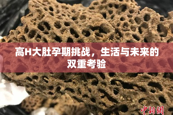 高H大肚孕期挑战，生活与未来的双重考验