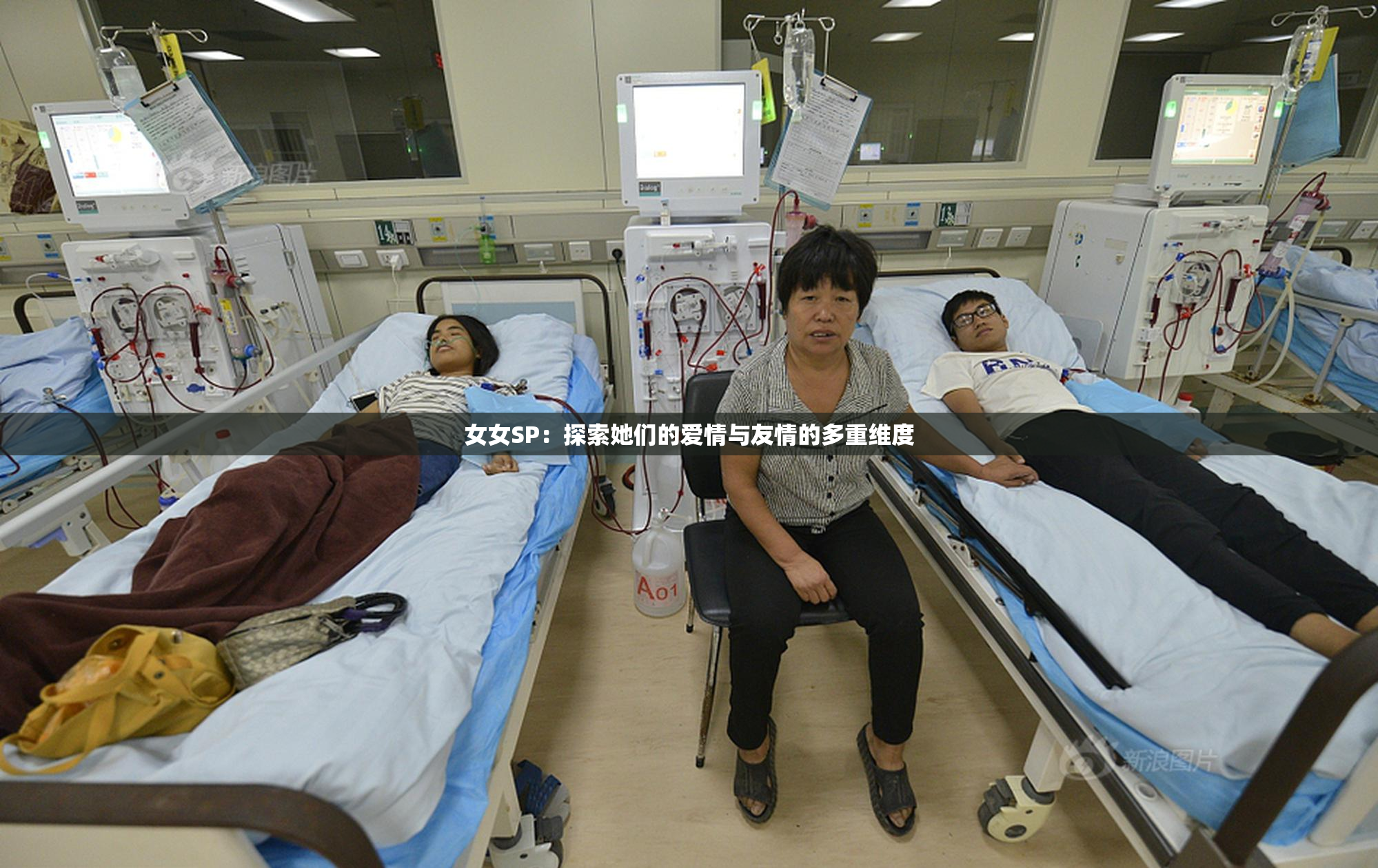女女SP：探索她们的爱情与友情的多重维度