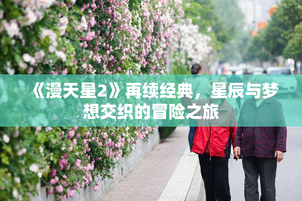 《漫天星2》再续经典，星辰与梦想交织的冒险之旅
