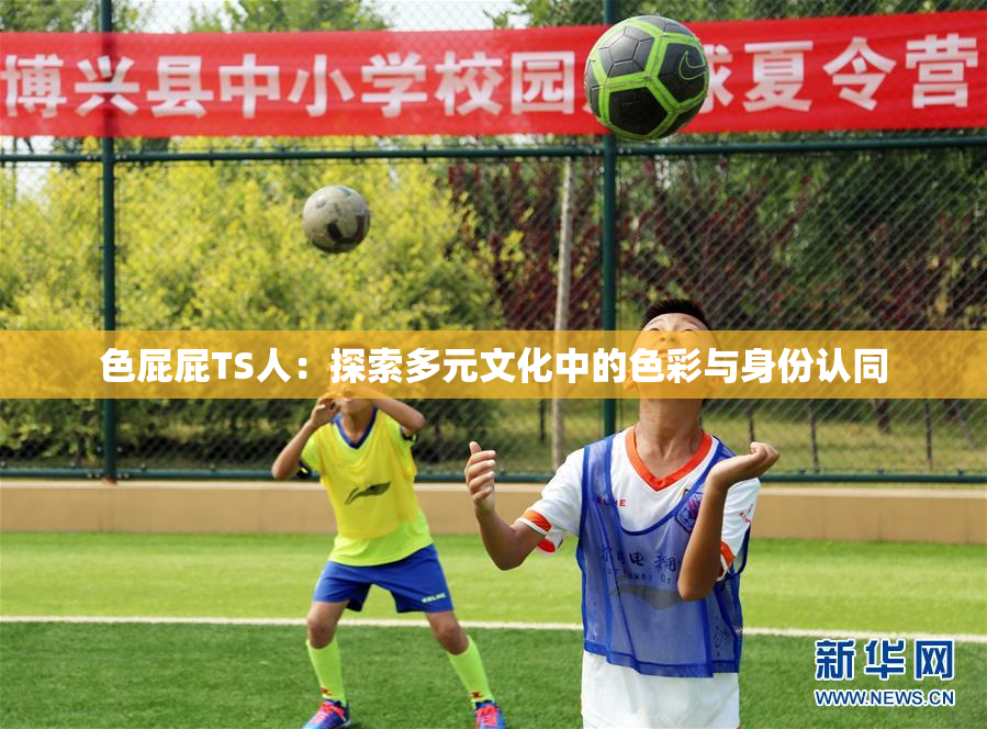 色屁屁TS人：探索多元文化中的色彩与身份认同